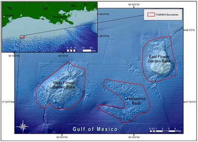 Coral disease outbreak at the remote Flower Garden Banks, Gulf of Mexico